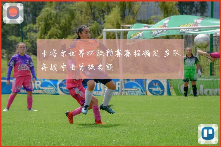 卡塔尔世界杯欧预赛赛程确定 多队备战冲击晋级名额